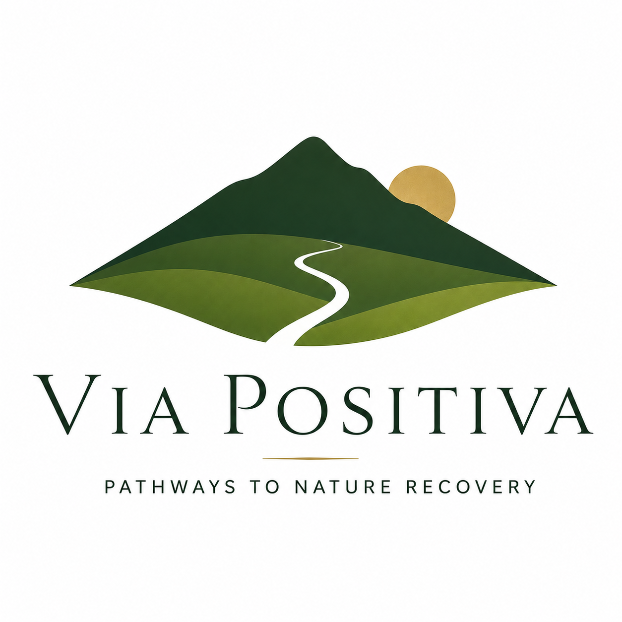 Via Positiva Logo